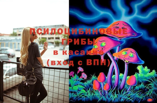 соль ск Бородино