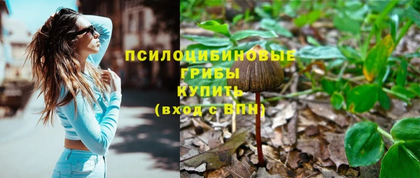 соль ск Бородино